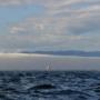 2012 Swiftsure Approaching Fog Bank